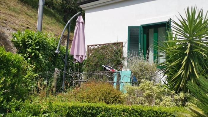 Agriturismo Villa Lupara サレルノ エクステリア 写真