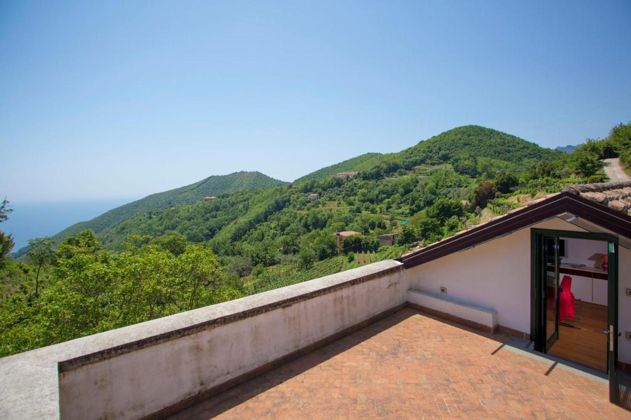 Agriturismo Villa Lupara サレルノ エクステリア 写真